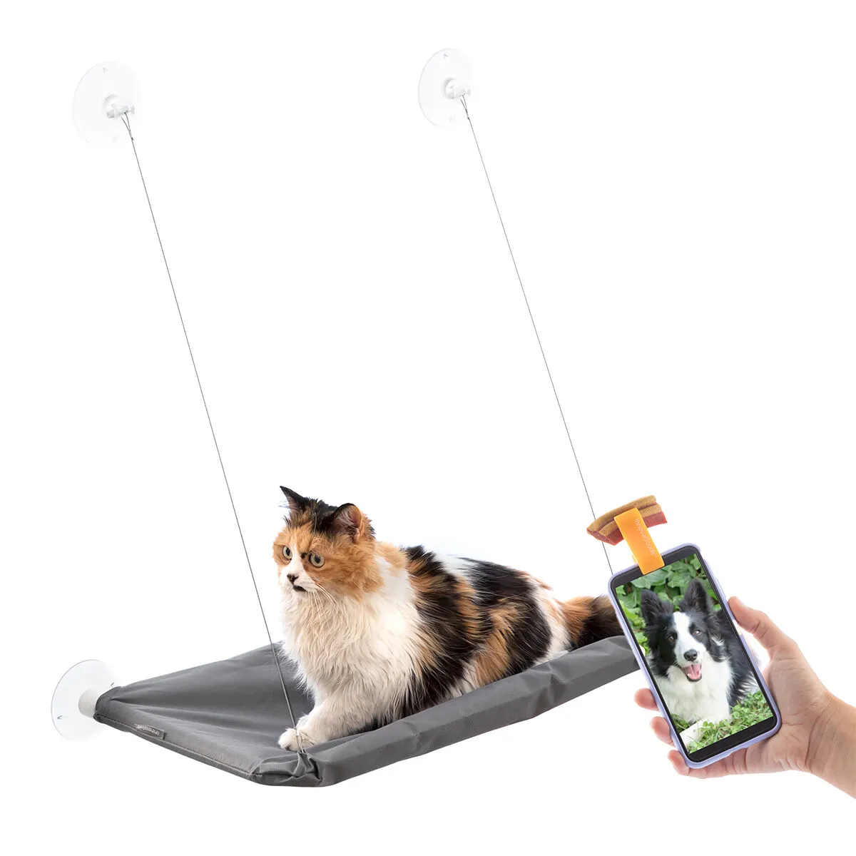Comparer les prix de Pack Clip pour Selfies pour Animaux Familiers et Hamac Suspendu pour Chats InnovaGoods