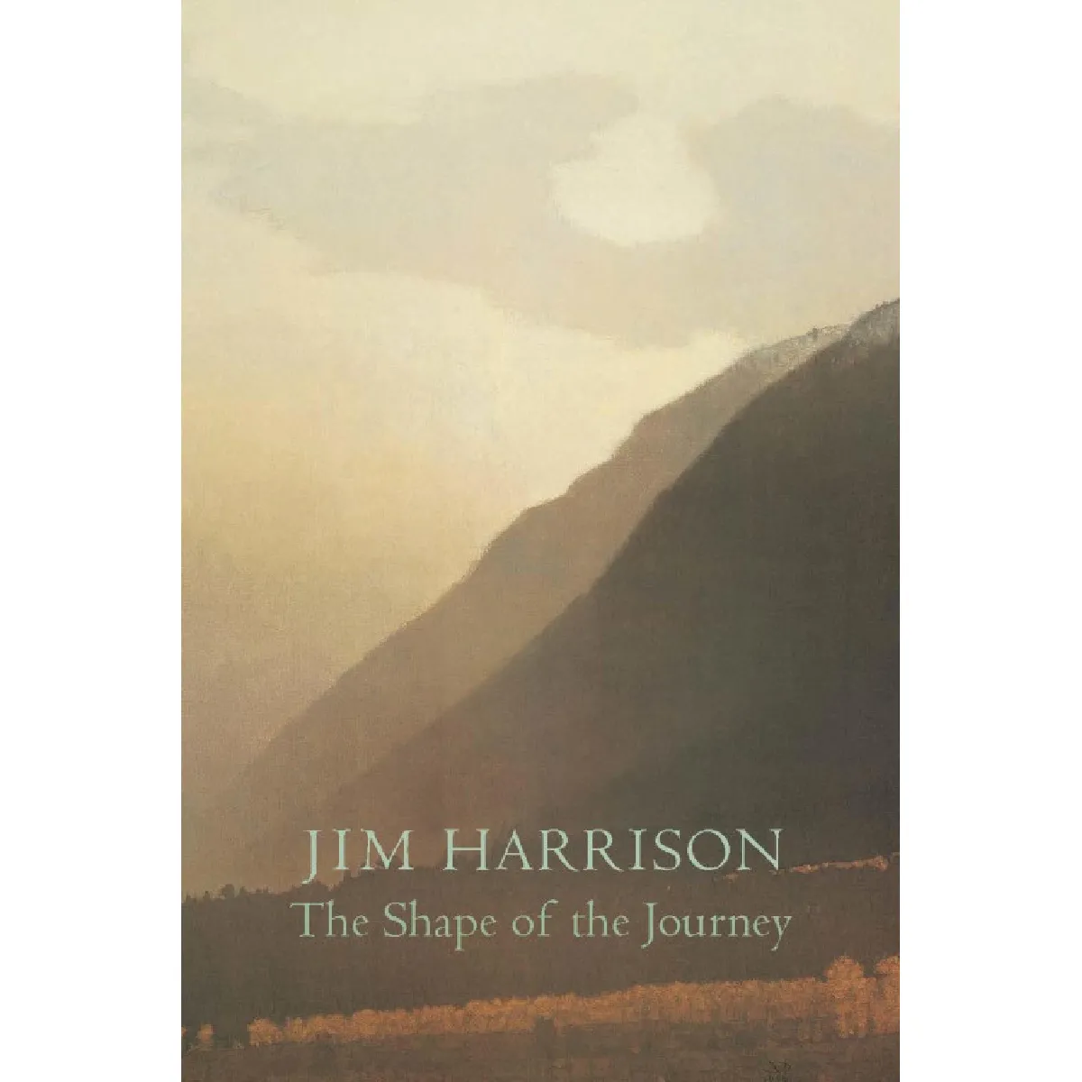 The Shape of the Journey