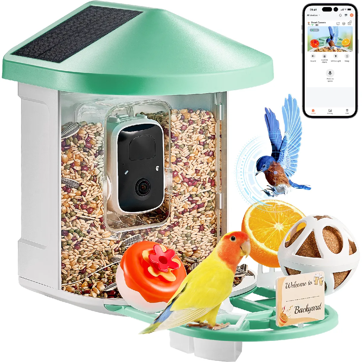 Mangeoire oiseaux caméra 2K AI, 3 panneaux solaires, capture auto, vert