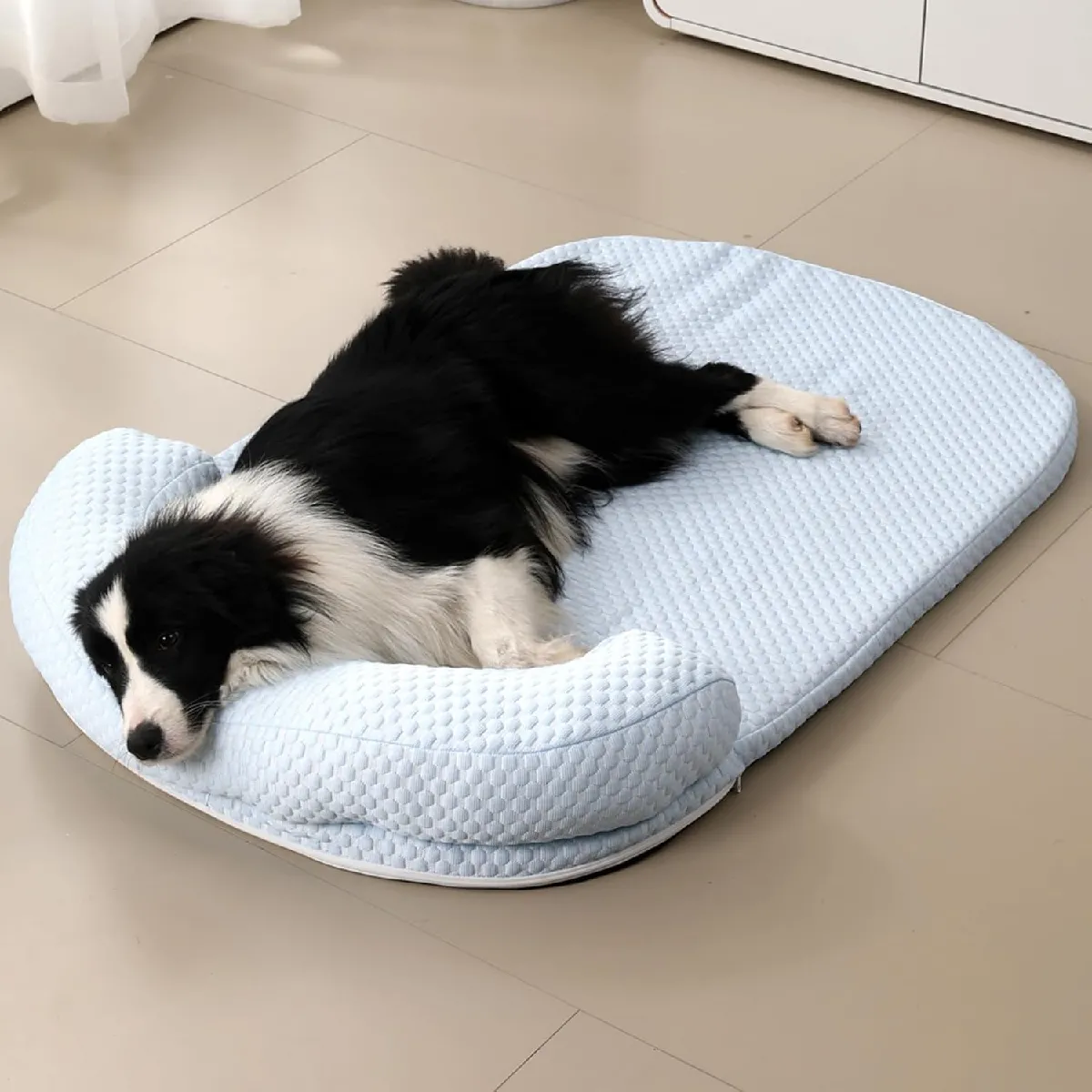 Comparer les prix de Panier Chien Orthopedique bleu M