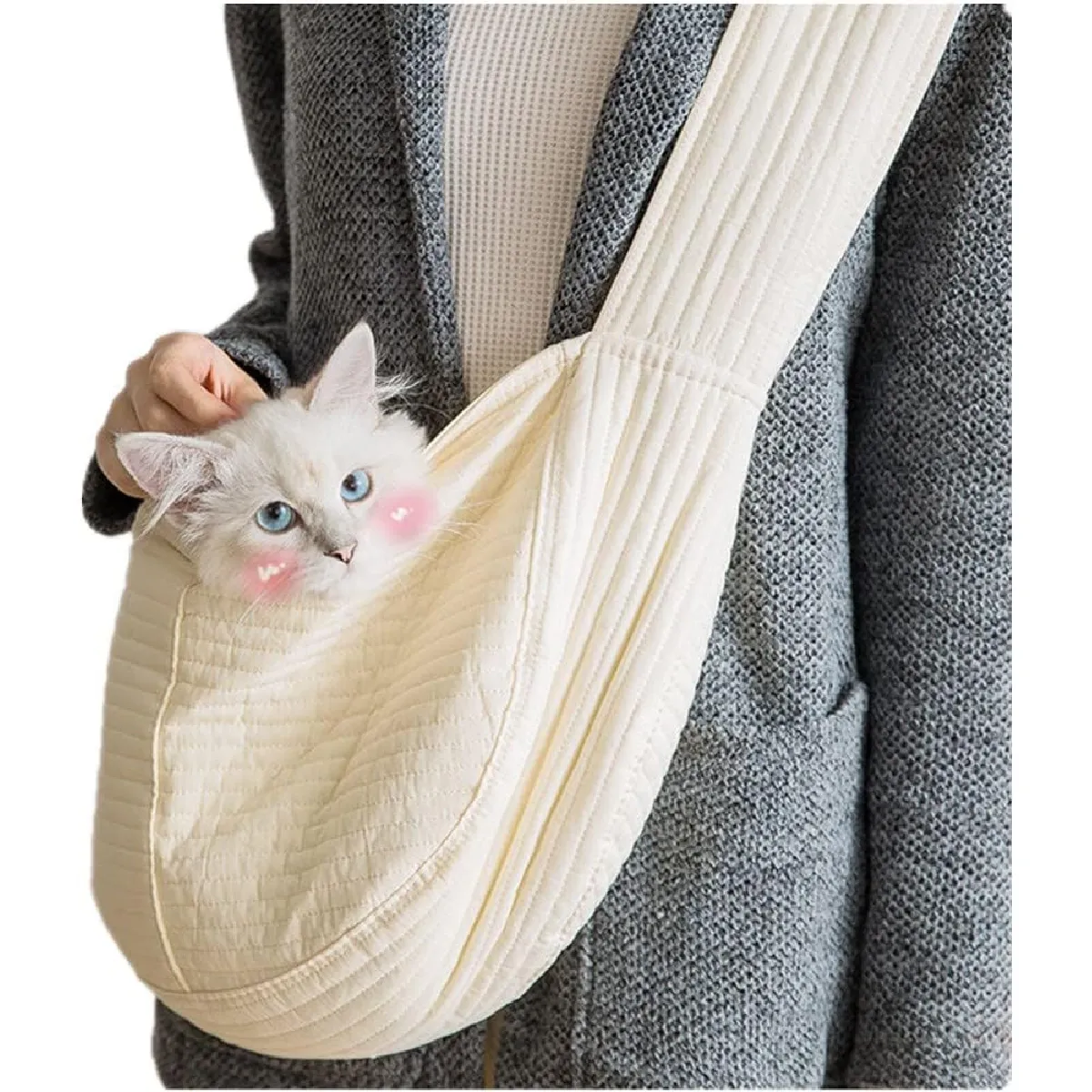 Meilleurs prix pour Sac de Transport Portable et Respirant pour Petit Chien