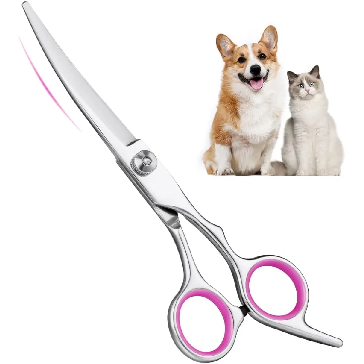 Meilleurs prix pour Ciseaux de Toilettage Professionnel pour Animaux