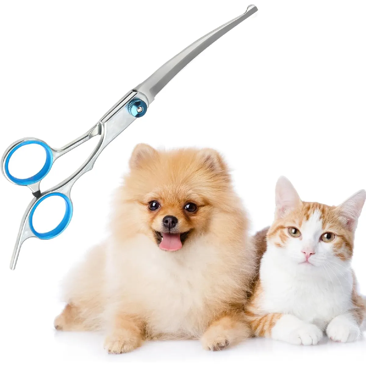 Meilleurs prix pour Ciseaux courbes pour toilettage d'animaux – Acier inoxydable avec pointe de sécurité arrondie