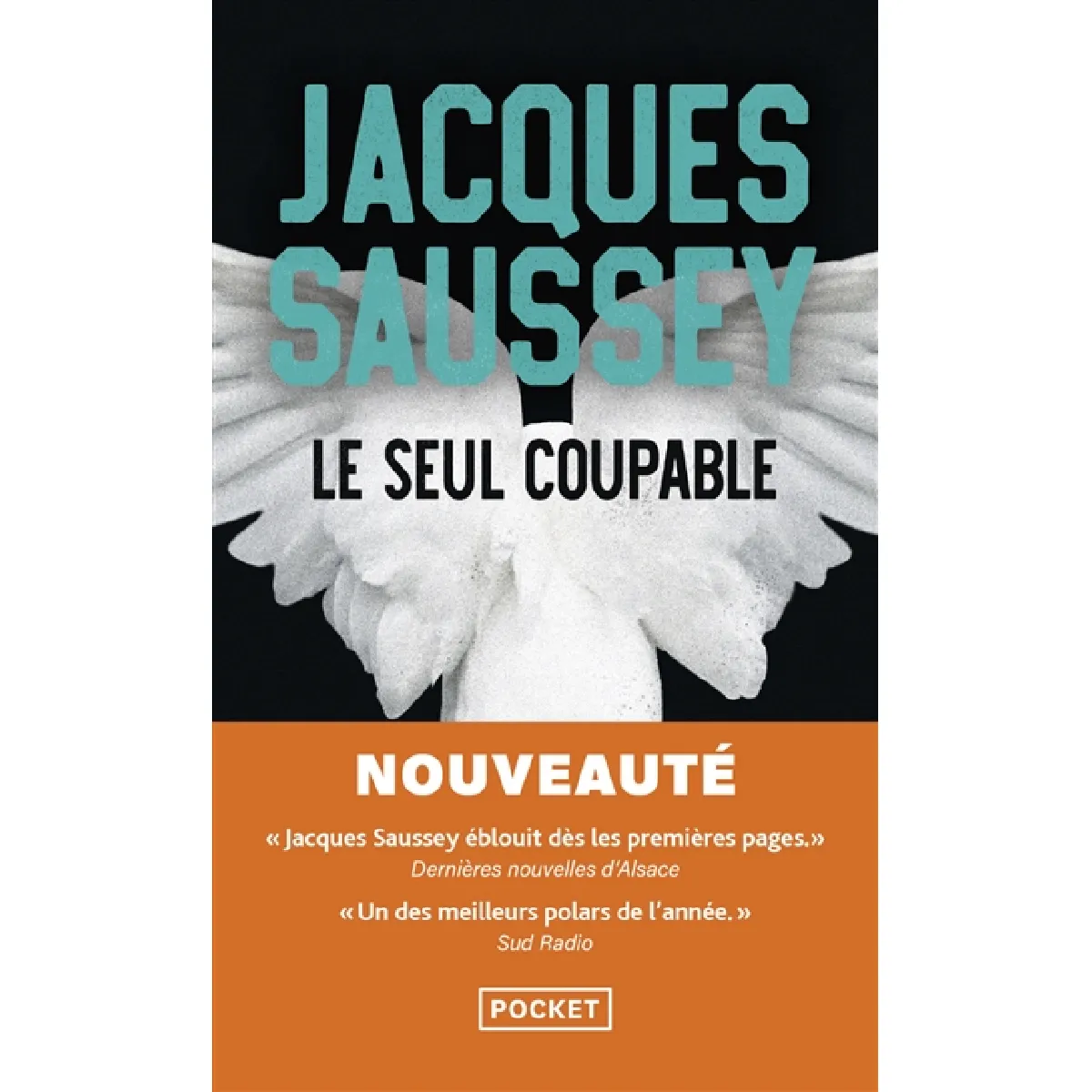 Le seul coupable - Image 3