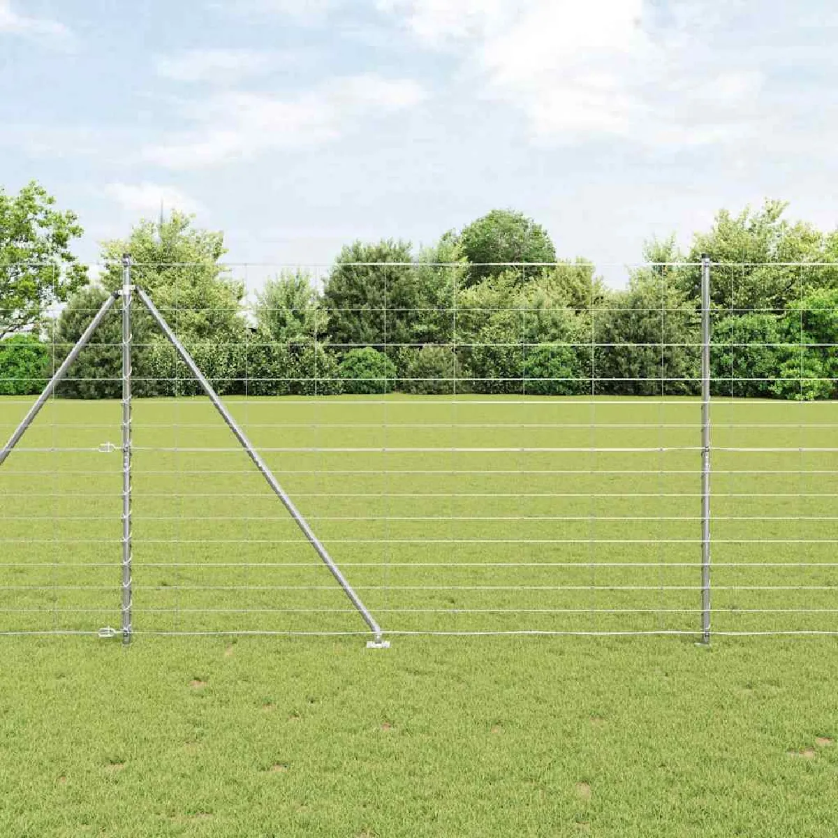 vidaXL Clôture en fil soudé avec pointes 50 x 1,6 m (l x h)