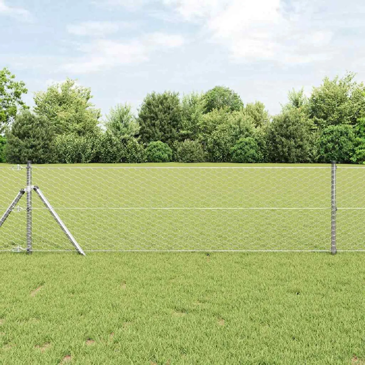 vidaXL Clôture en fil soudé pour sol 10 x 0,6 m (L x H)