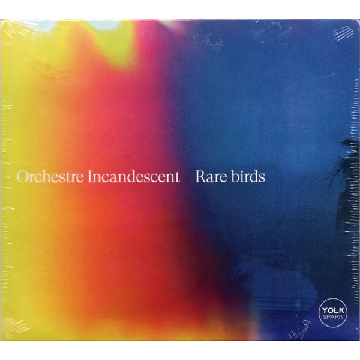 Rare Birds - Image 2