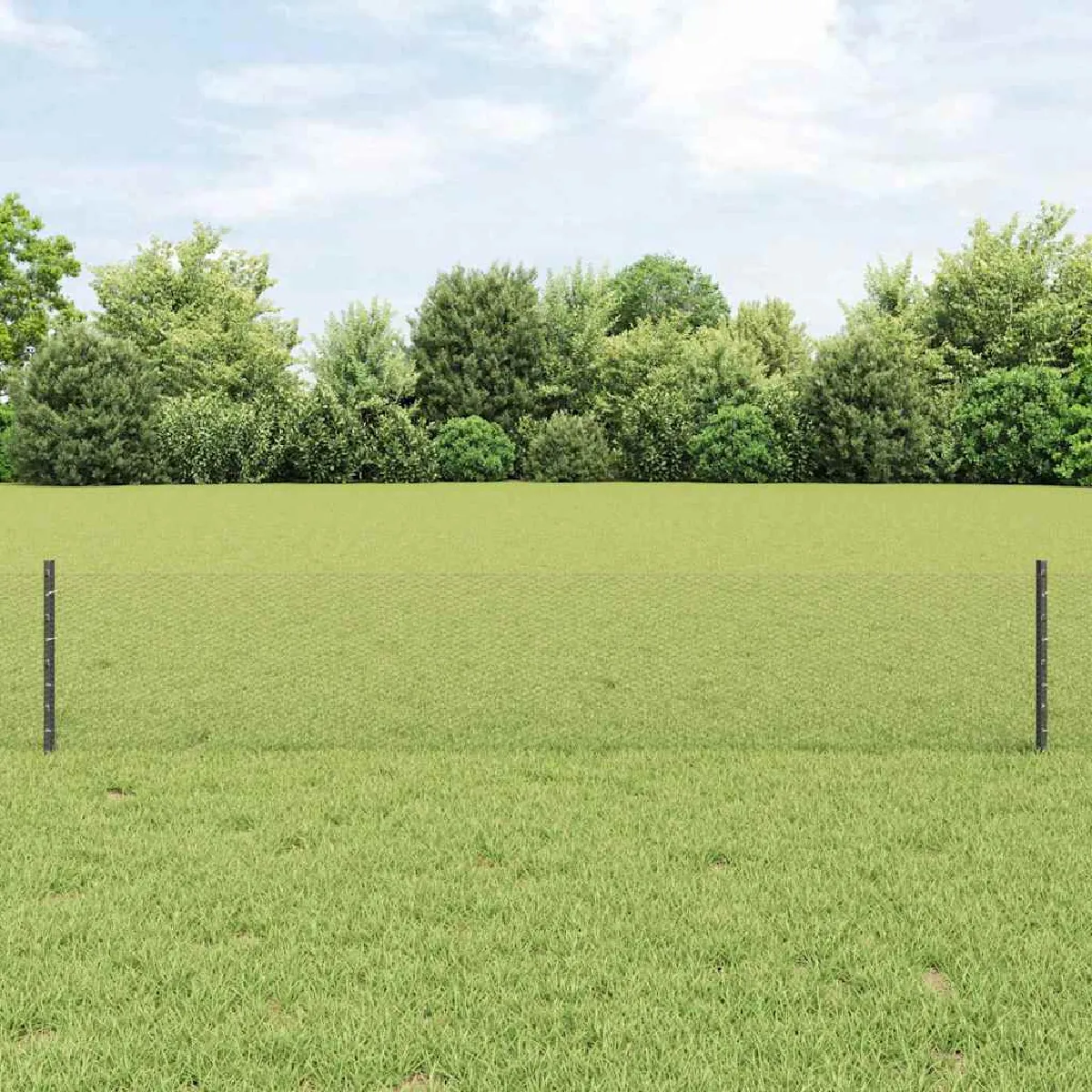 vidaXL Clôture en fil soudé 10 x 0,4 m (l x h) Acier recouvert de PVC