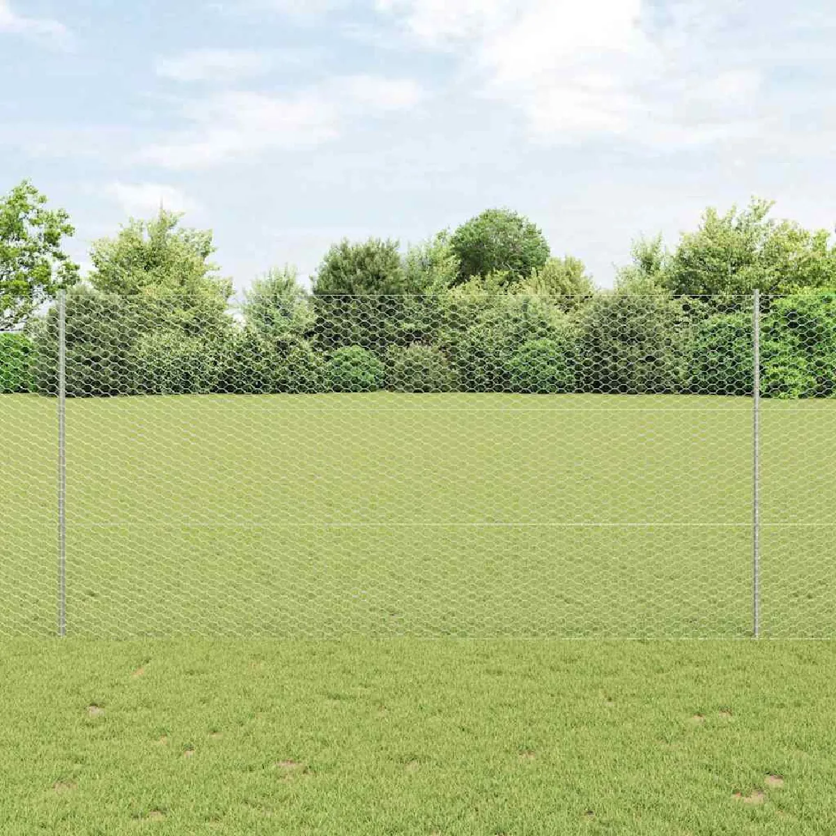 vidaXL Clôture en fil soudé 10 x 1,5 m (L x H) Acier galvanisé à chaud