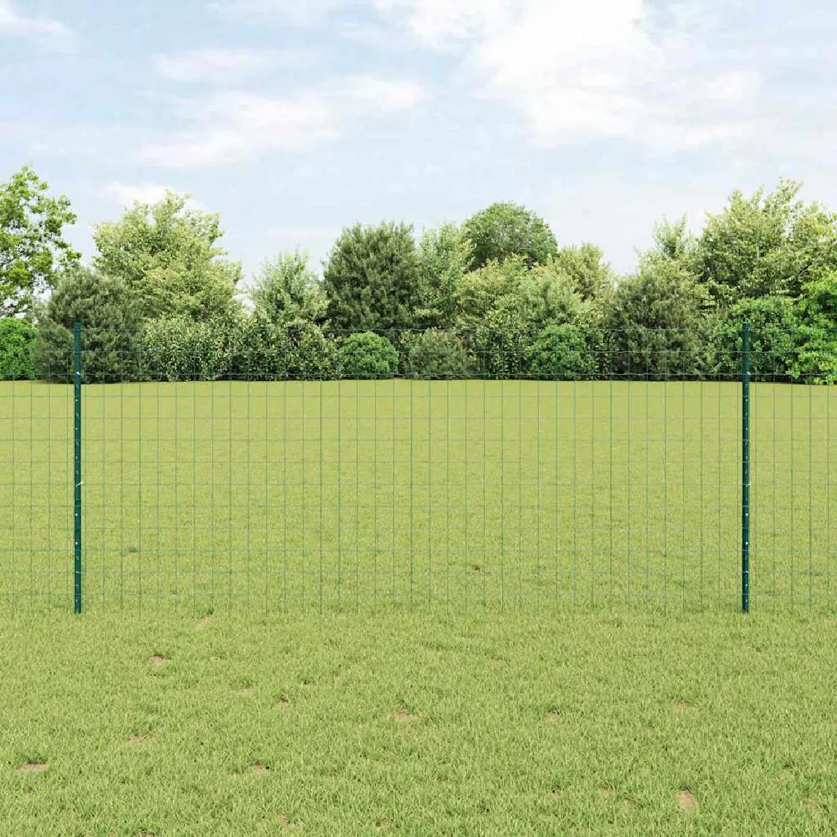 vidaXL Clôture en fil soudé 10 x 1 m (l x h) Acier recouvert de PVC