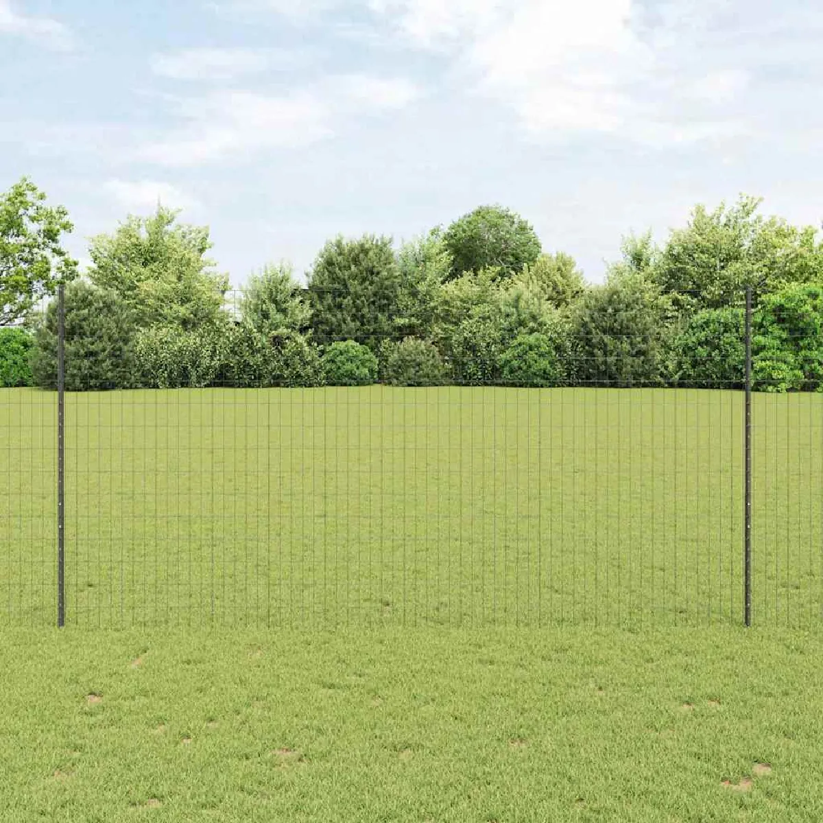 vidaXL Set de Clôture de Jardin 2 pièces Métal recouvert de plastique