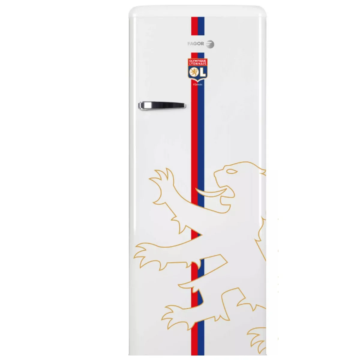 FAGOR FSPR194OLW - vue 3