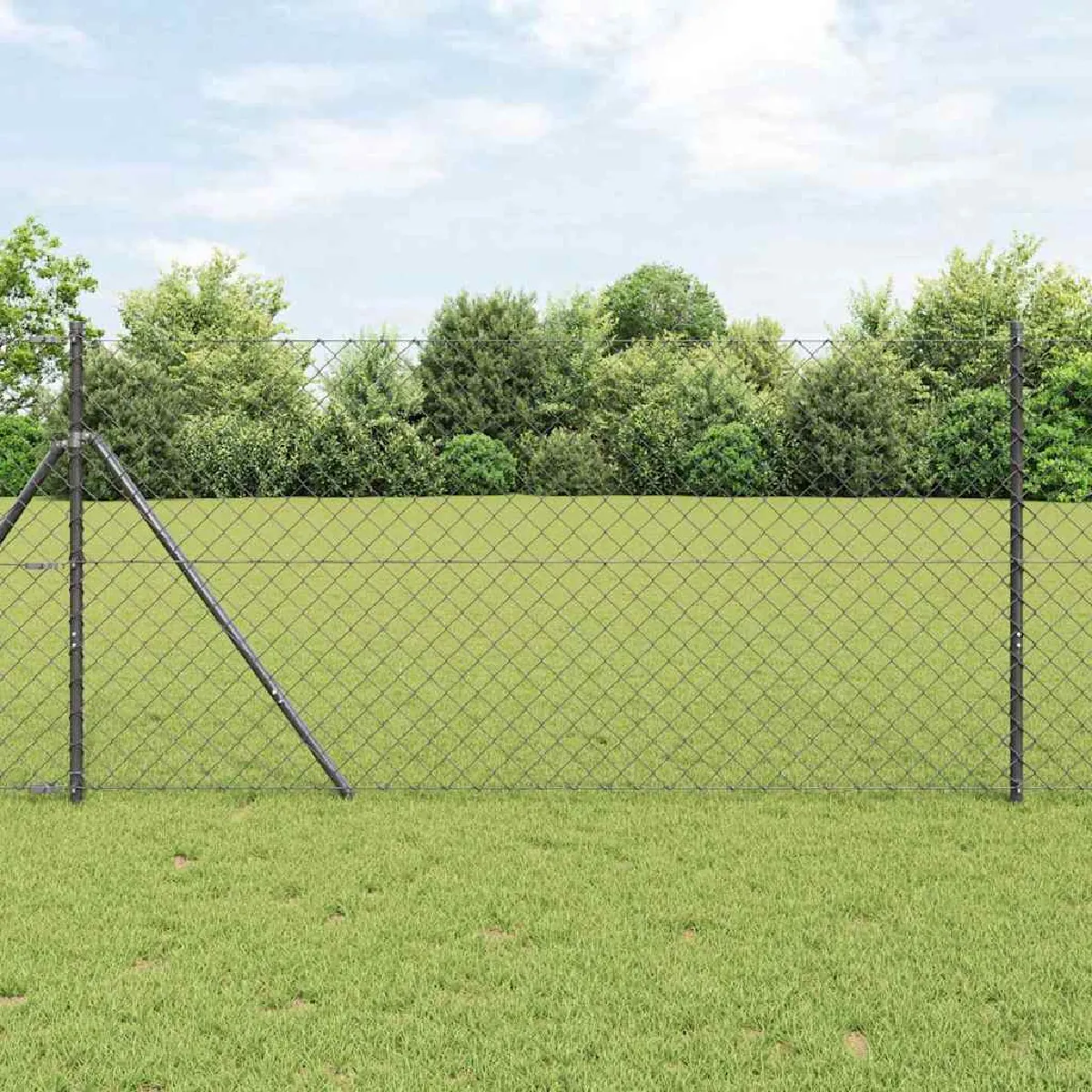 vidaXL Clôture en maillon de chaîne avec 7 poteaux à pointe 1x10 en acier galvanisé - vue 3