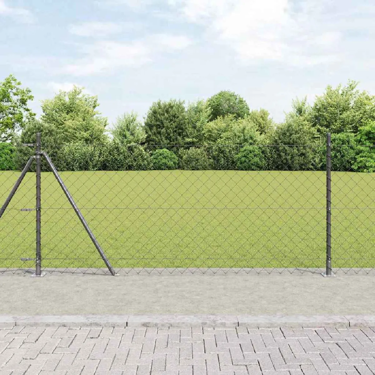 vidaXL Clôture en maillon de chaîne avec 7 poteaux à pointe 1x10 en acier galvanisé - vue 7