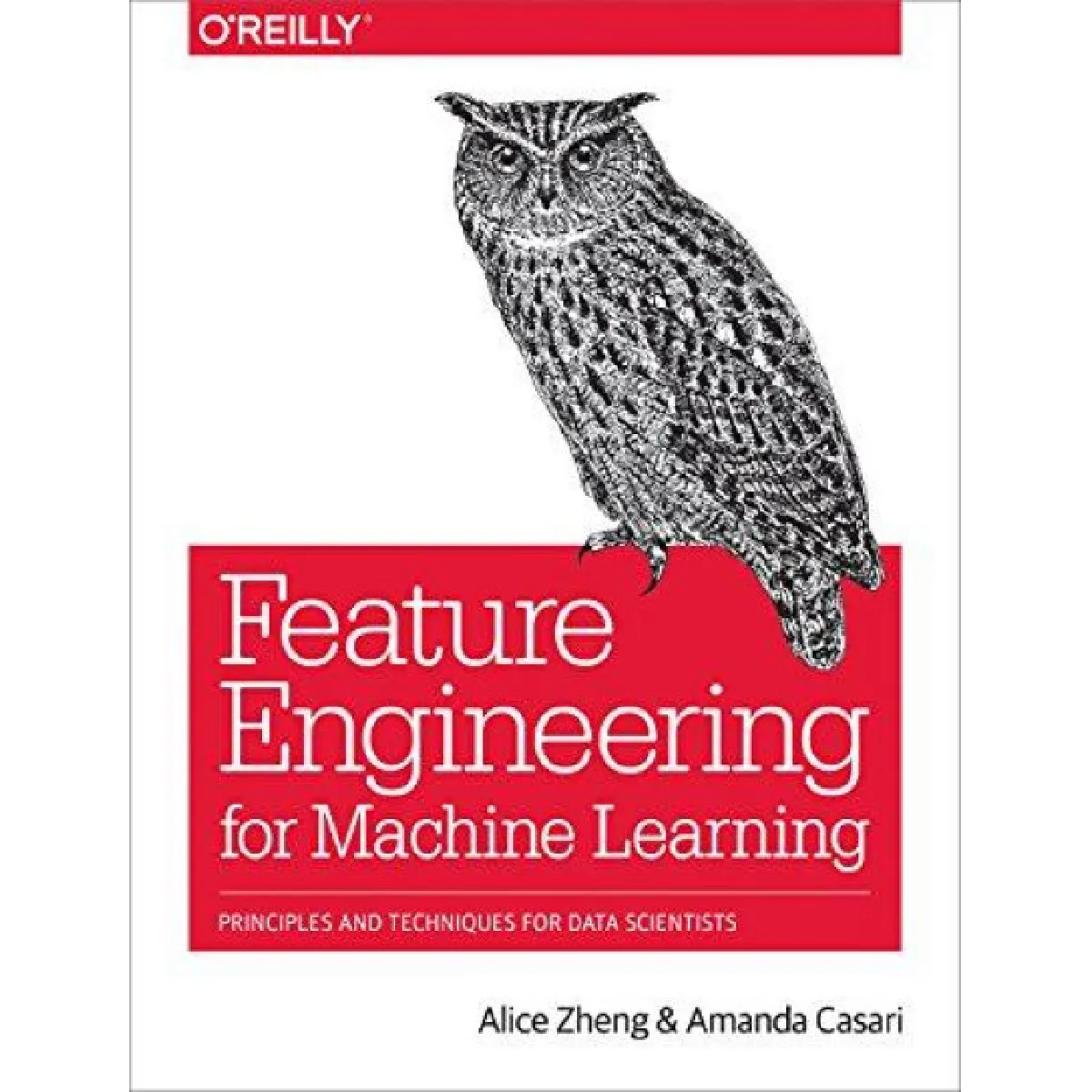 Feature Engineering for Machine Learning