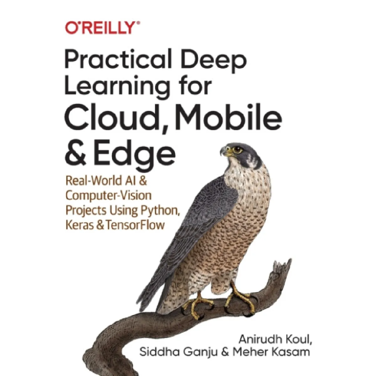 Oreilly Media Practical Deep Learning For Cloud And Mobile By Meher Kasam - Image 2