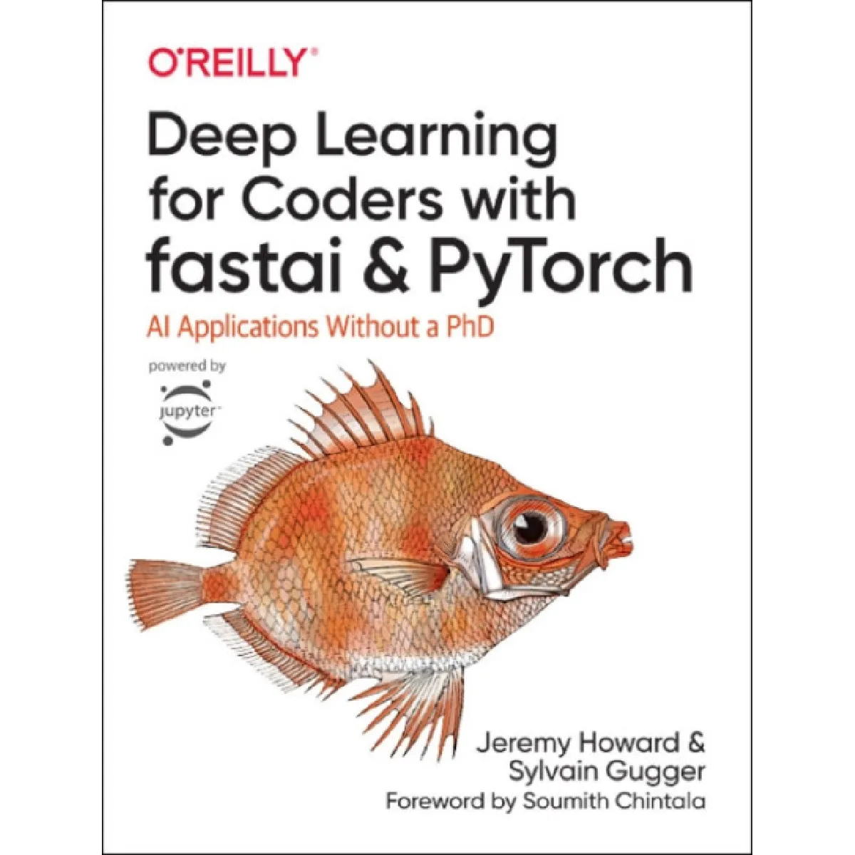 Oreilly Media Deep Learning For Coders With Fastai And Pytorch By Jeremy Howard - Image 2