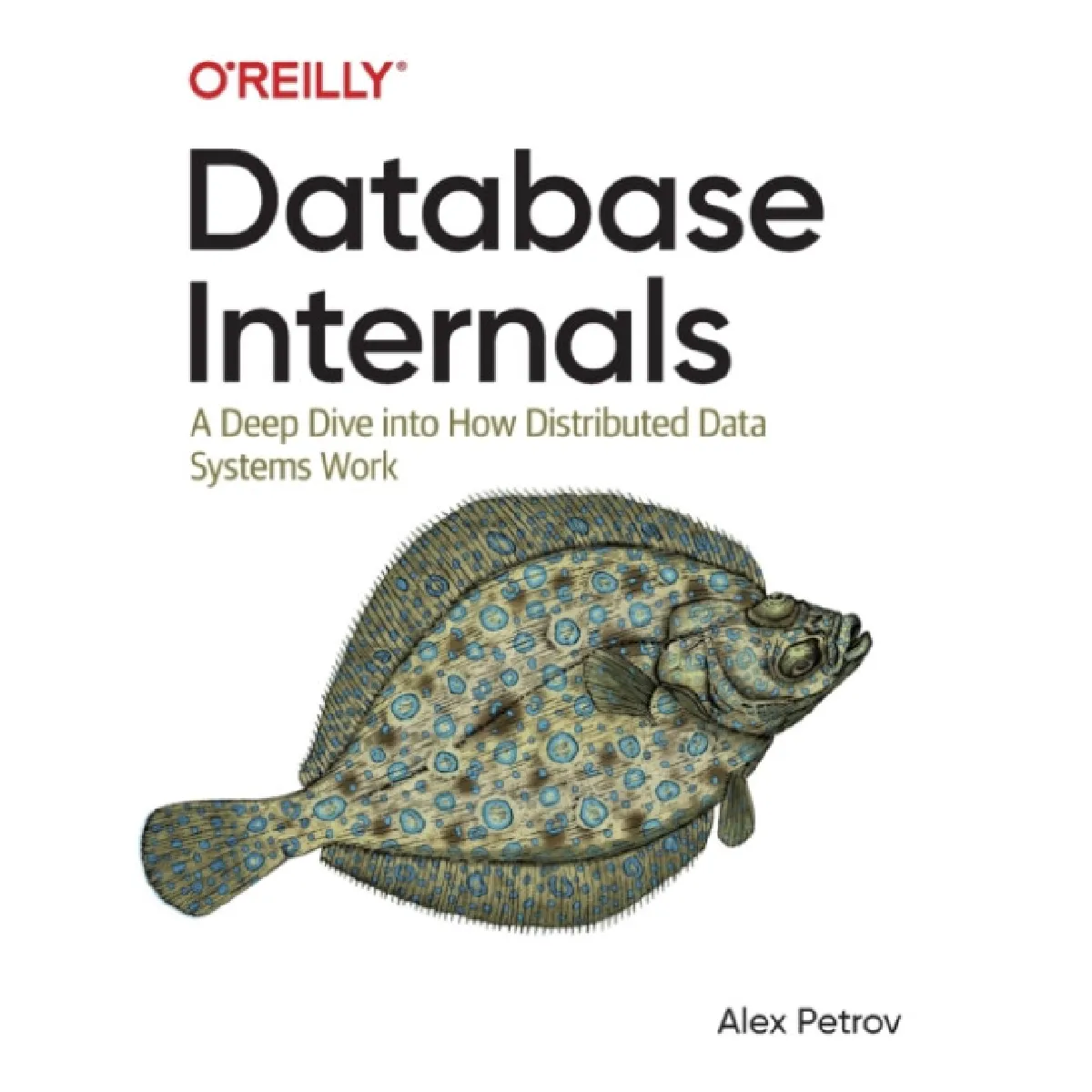 Oreilly Media Database Internals By Alex Petrov - Image 2
