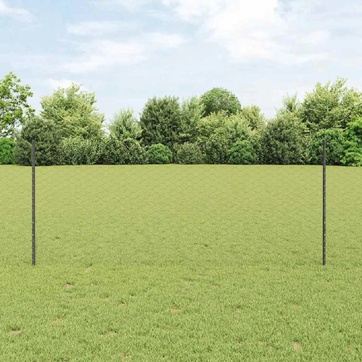 vidaXL Set de Clôture de Jardin 2 pièces Métal recouvert de plastique - vue 9