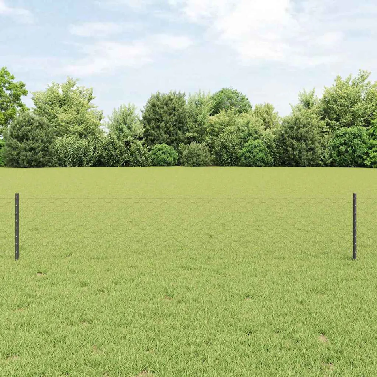 vidaXL Clôture en fil soudé 10 x 0,4 m (l x h) Acier recouvert de PVC