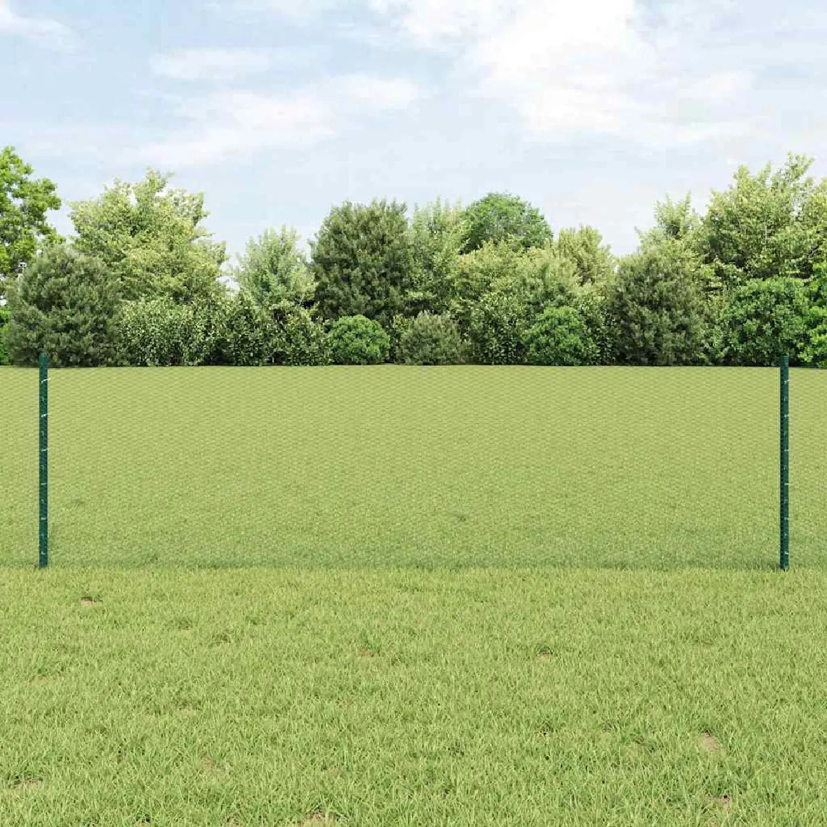 vidaXL Clôture en fil soudé 10 x 0,6 m (L x H) Acier recouvert de PVC