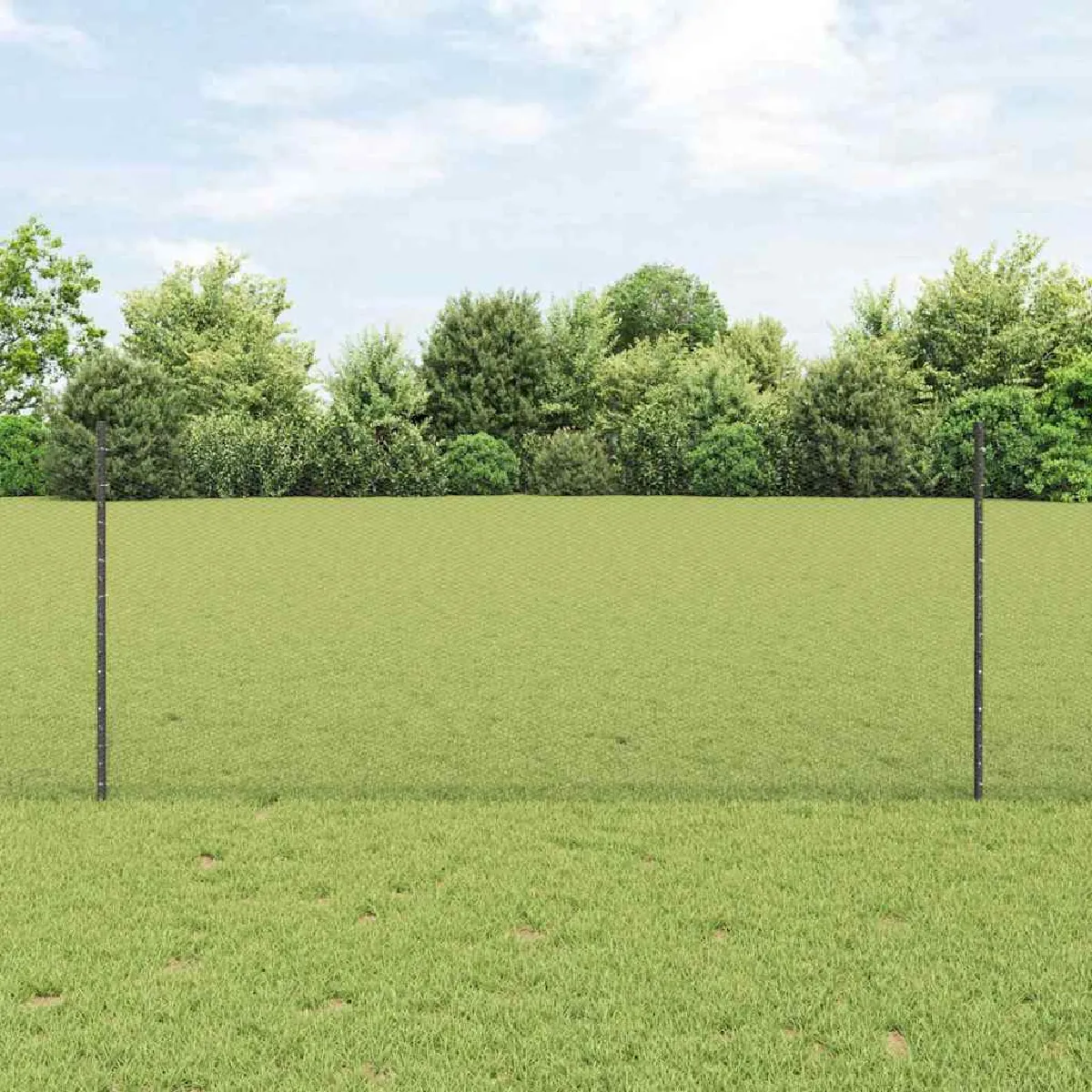vidaXL Set de Clôture de Jardin 2 pièces Métal recouvert de plastique - vue 8