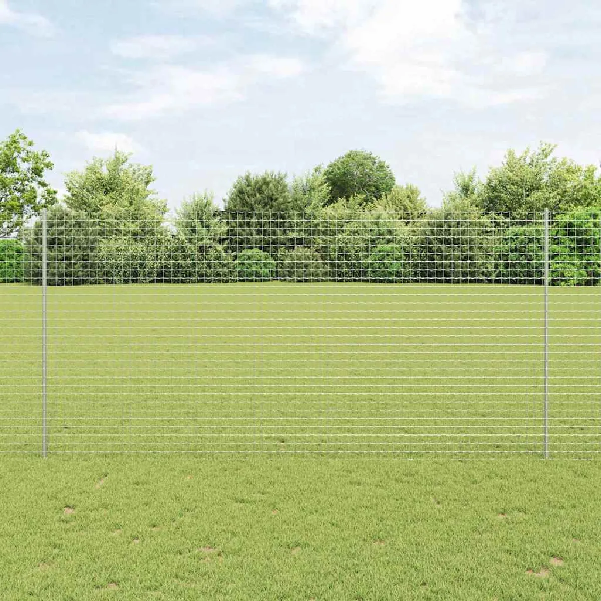 vidaXL Poteau de clôture. 5 pcs 160 cm Acier