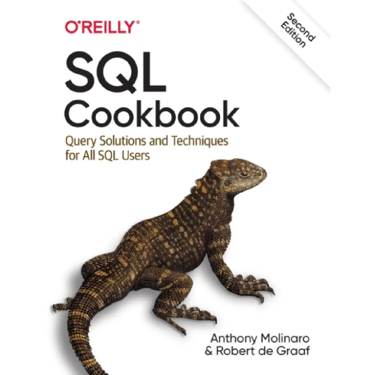 SQL Cookbook by Robert de Graaf - Image 2