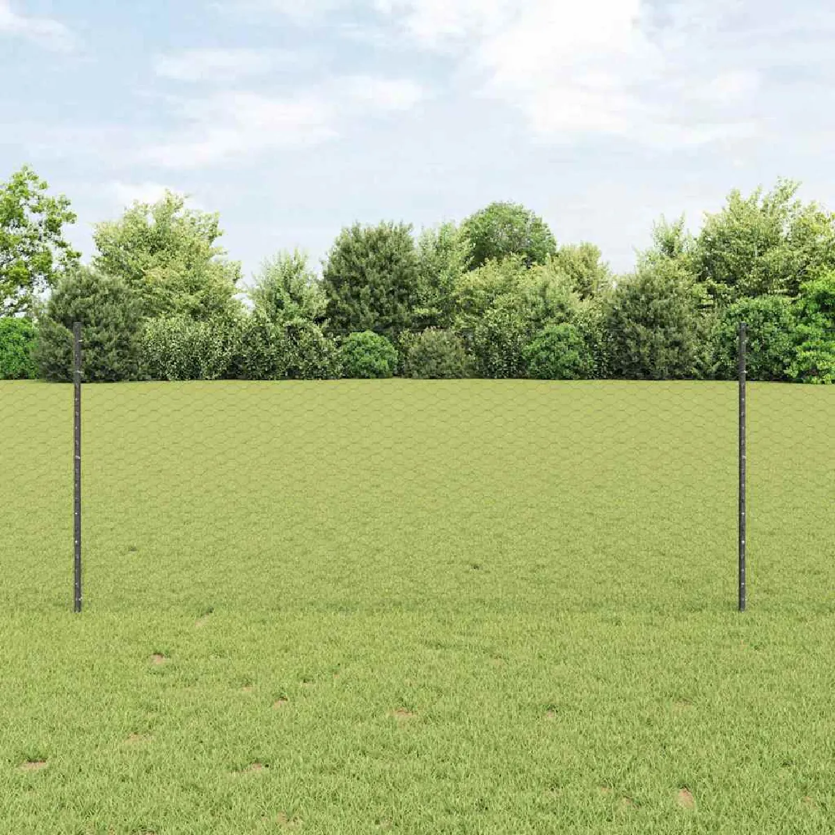 vidaXL Set de Clôture de Jardin 2 pièces Métal recouvert de plastique - vue 6