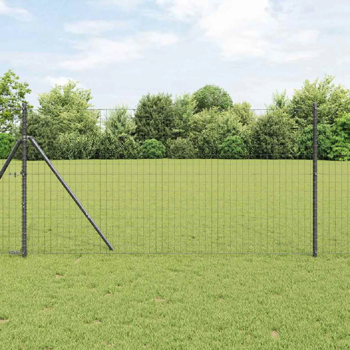 vidaXL Euro Fence 1 2x10 Acier galvanisé - vue 6