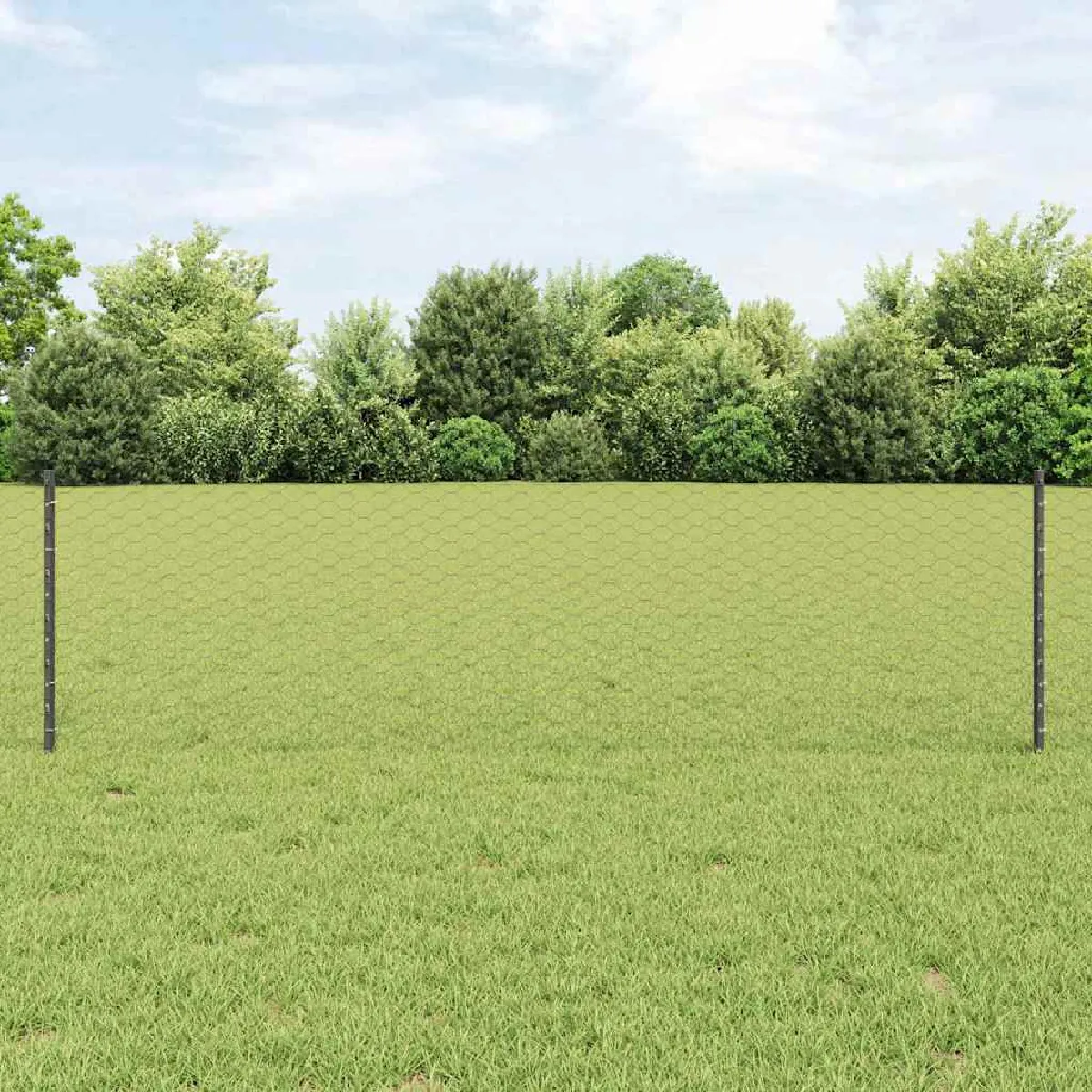 vidaXL Clôture en fil soudé 10 x 0,6 m (L x H) Acier recouvert de PVC