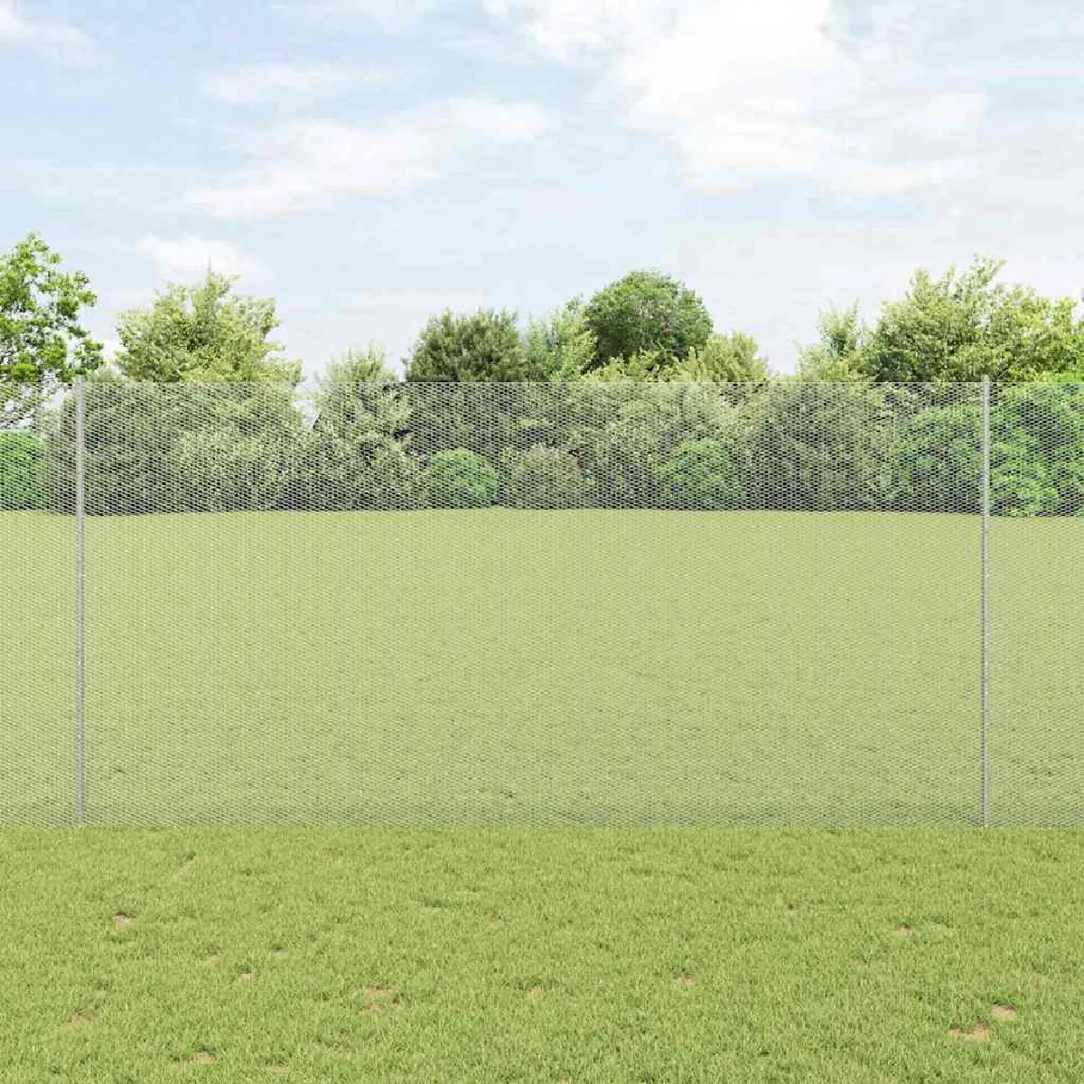 vidaXL Clôture en fil soudé 10 x 1,6 m (l x h) Acier galvanisé à chaud