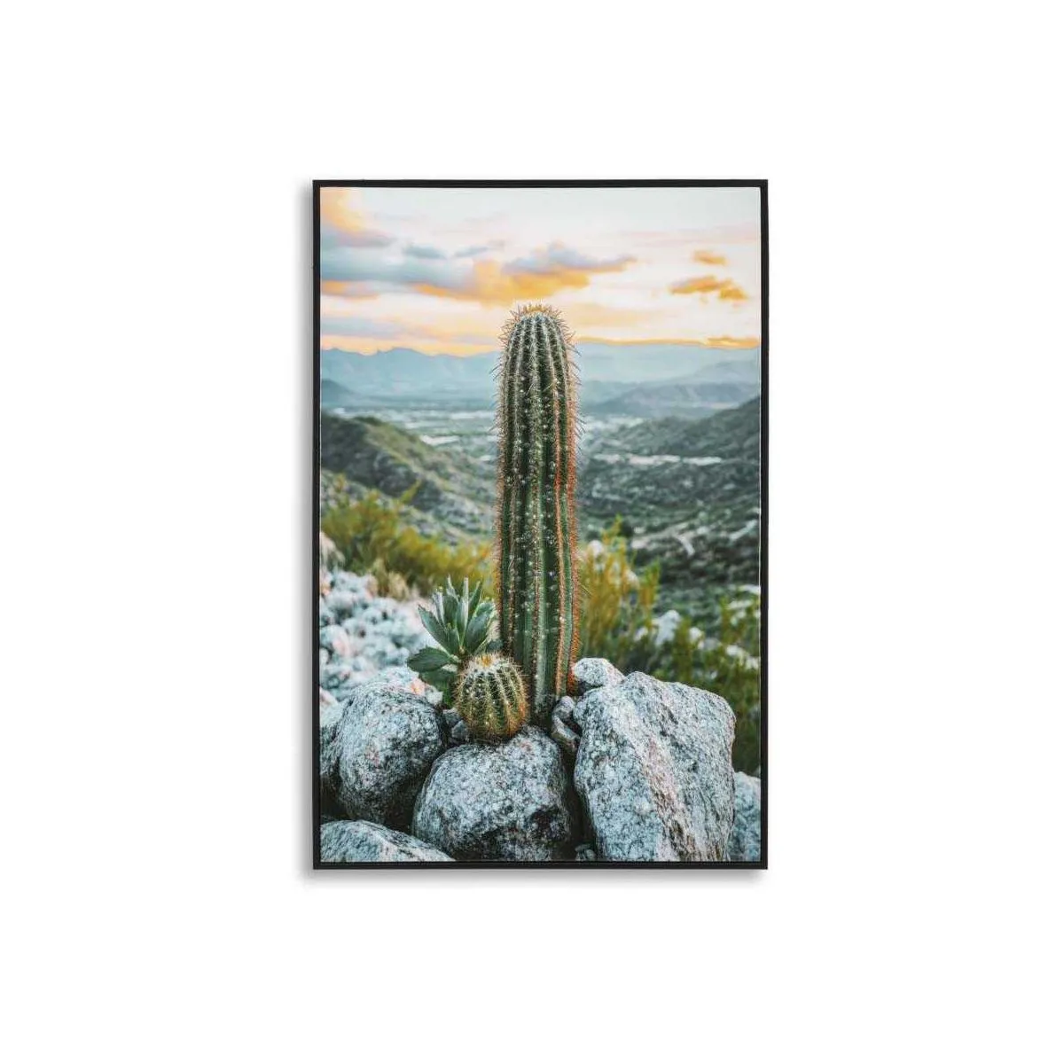 GENERIQUE - Toile Décorative Cactus avec Cadre - 60 x 90 cm - Tableau Mural - Image 3