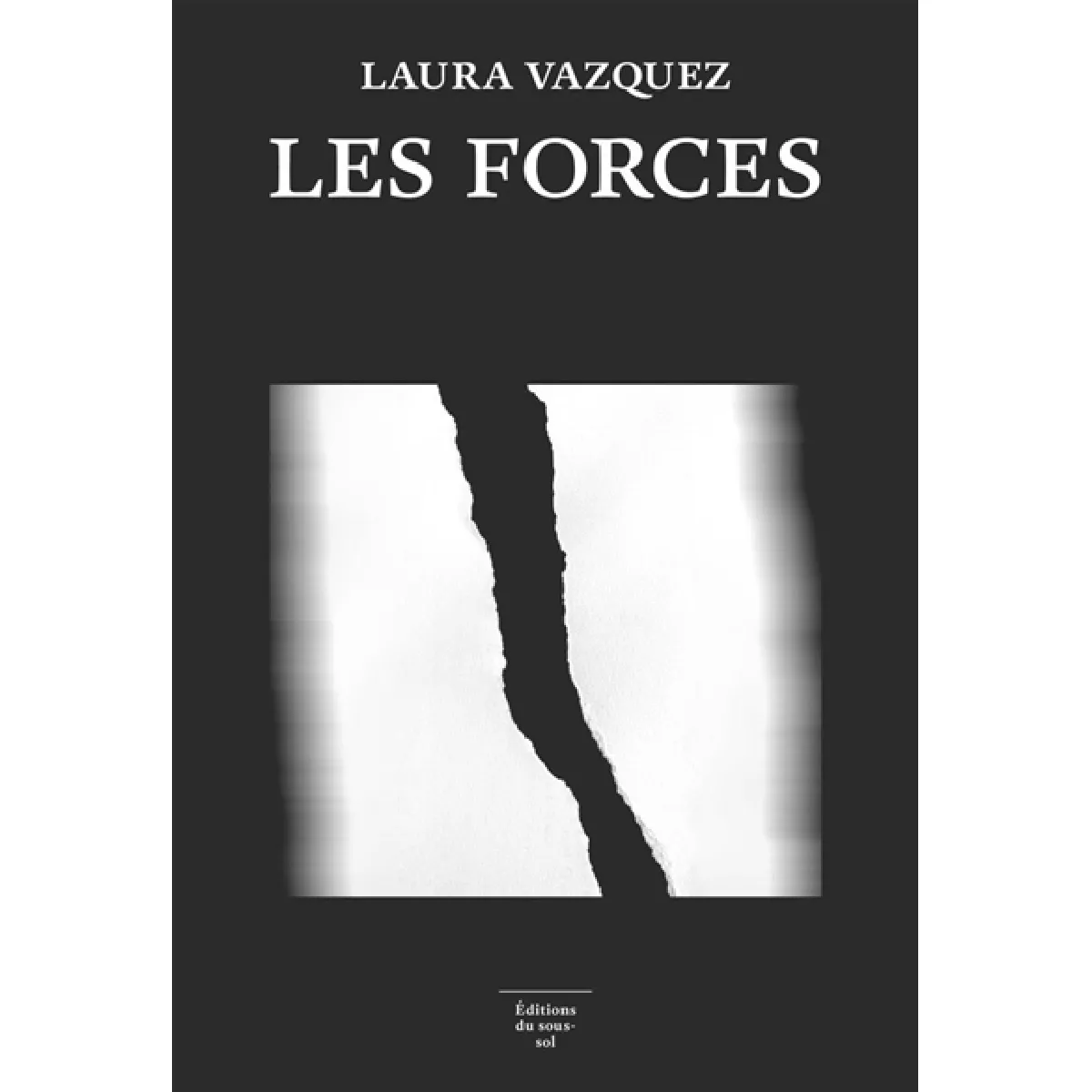 Les forces - Image 2