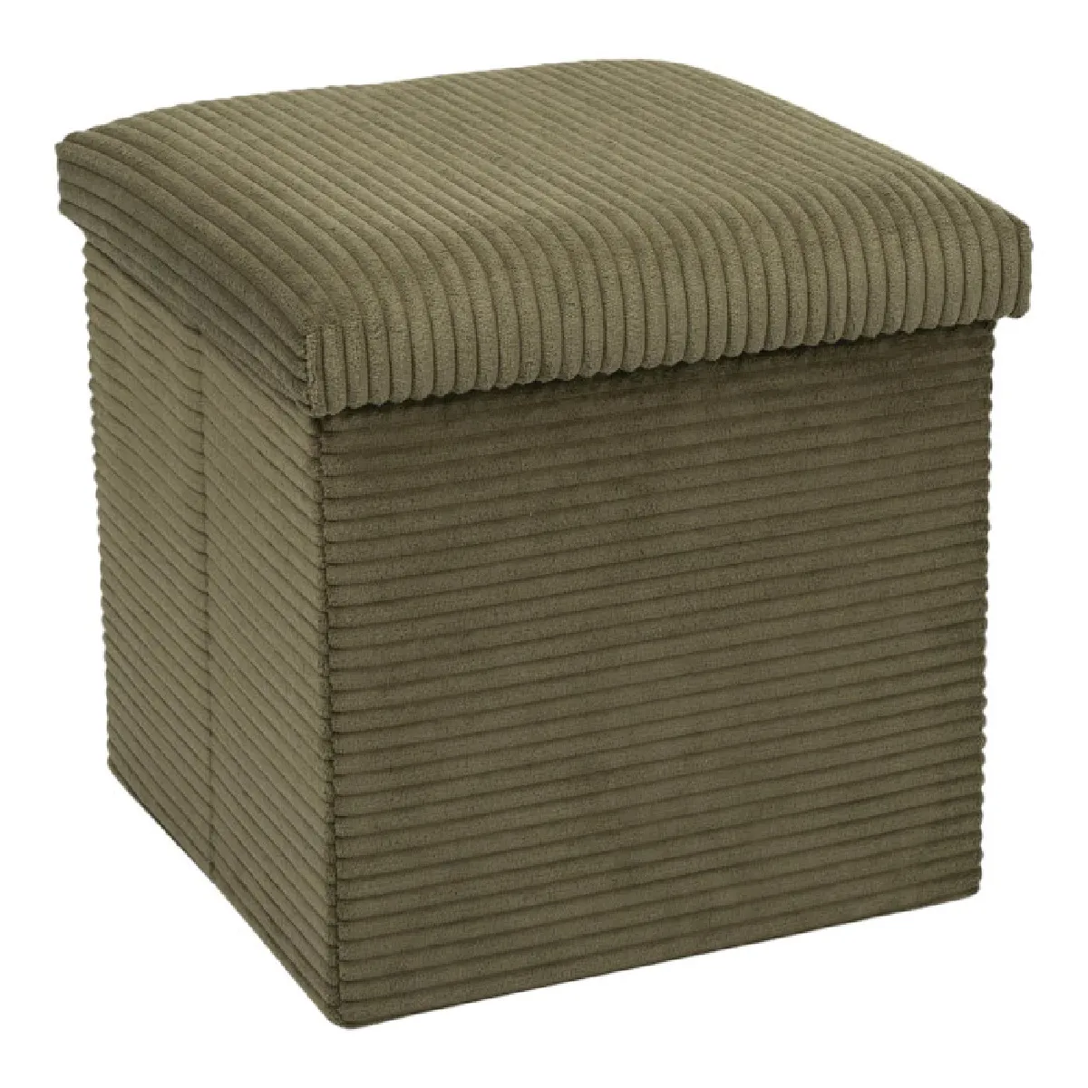 Paris Prix Vert Pouf-Coffre Pliable