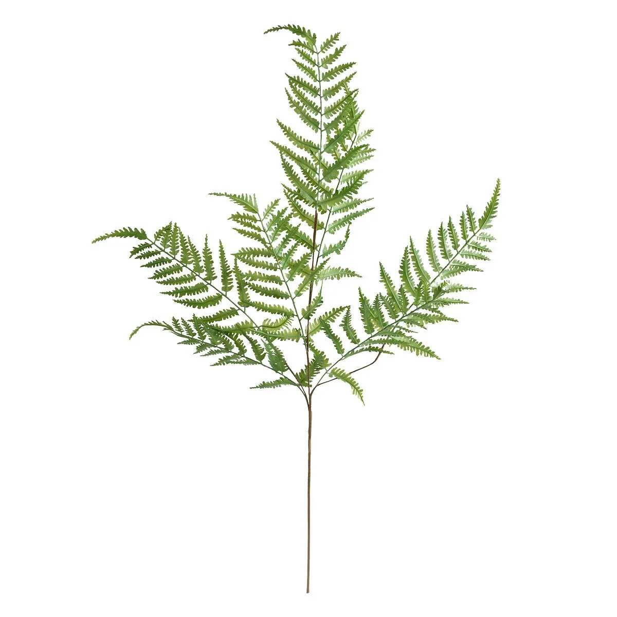 Atmosphera Vert Fougère Artificielle