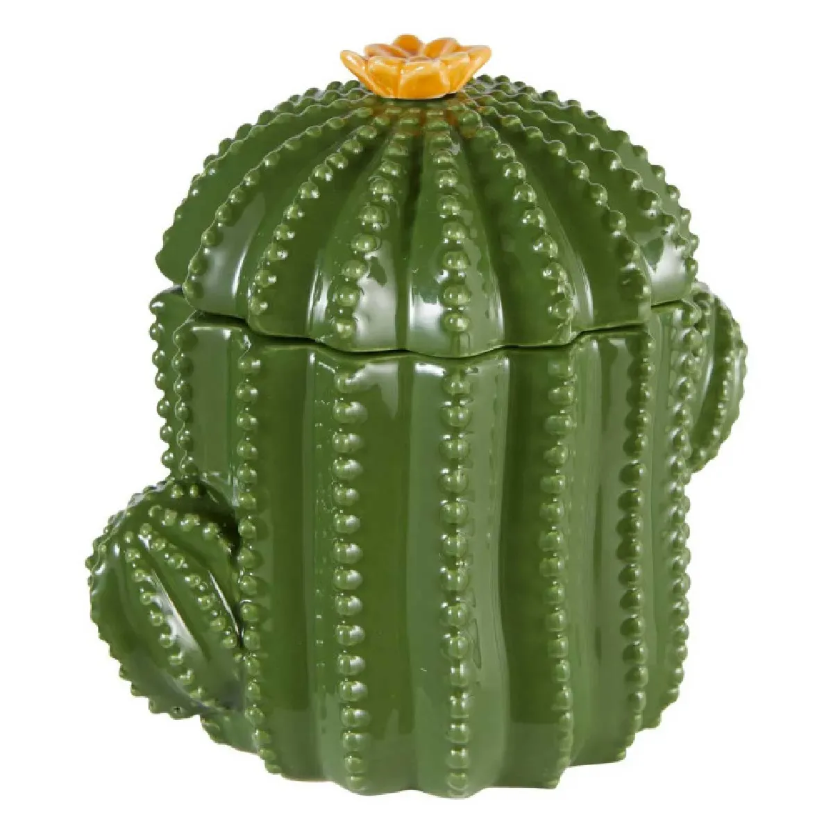 Atmosphera Vert Boîte De Rangement Cactus