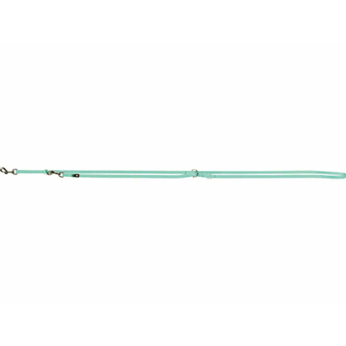 Laisse Premium réglable - Vert Menthe