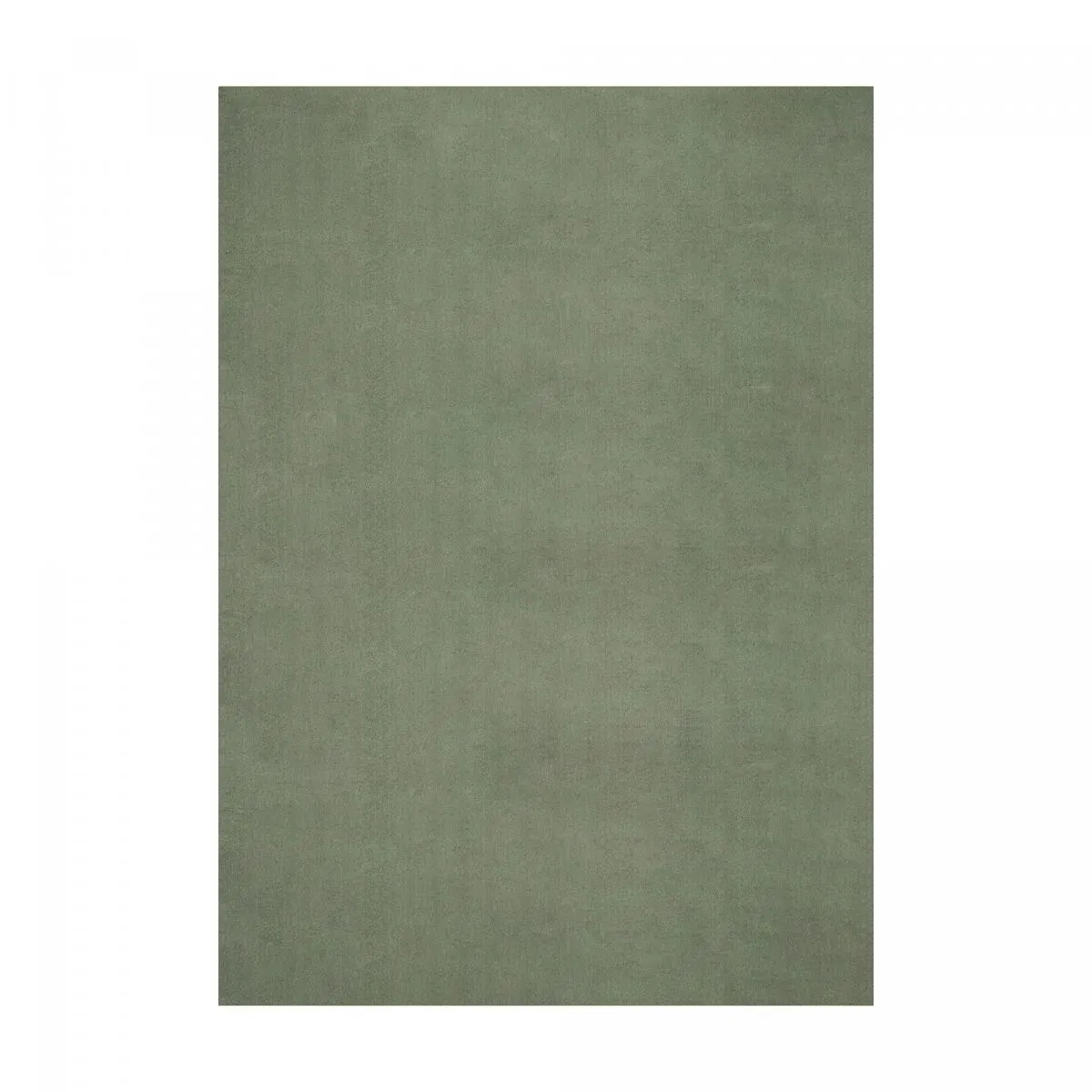 Tapis grand salon 200x280 LYN10 LAVABLE uni tapis shaggy à longs poils