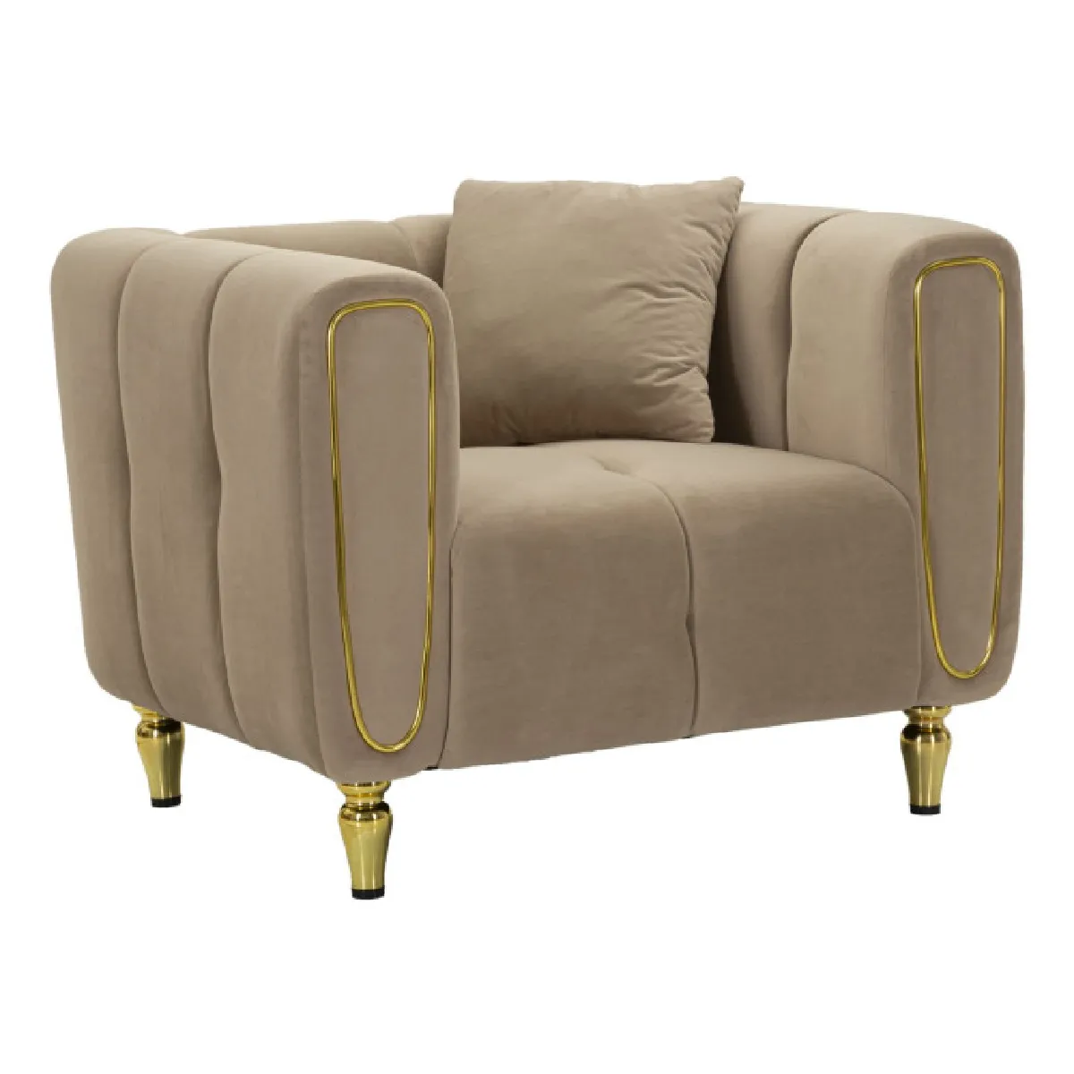 Mauro Ferretti Gris Paris Prix Fauteuil Velours Alma