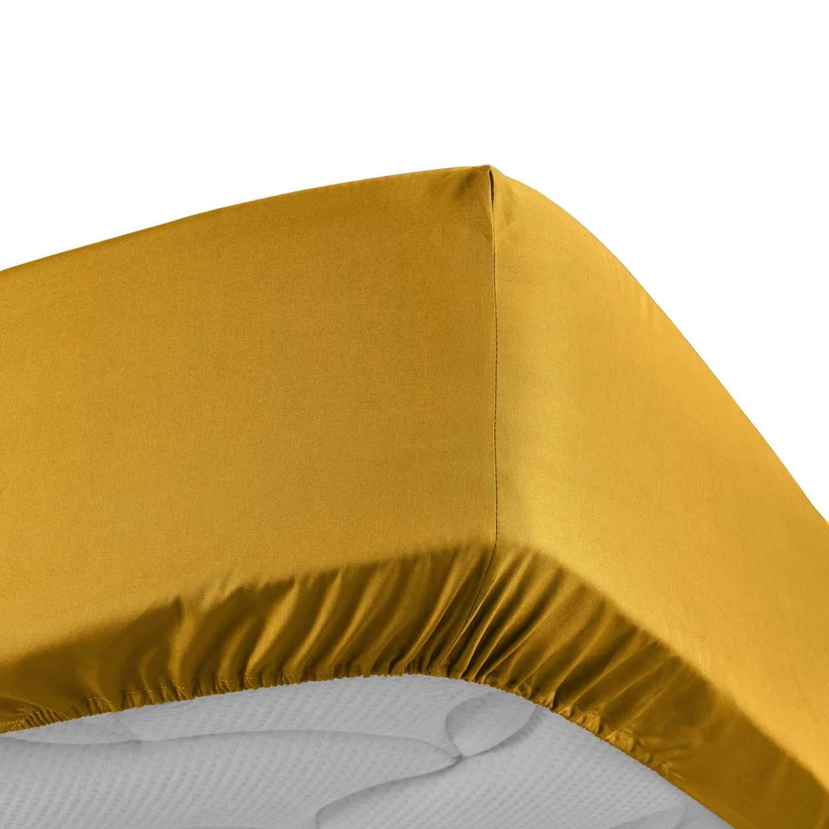 Drap housse - 160 x 200 cm - Percale - 78 fils - Uni Curry