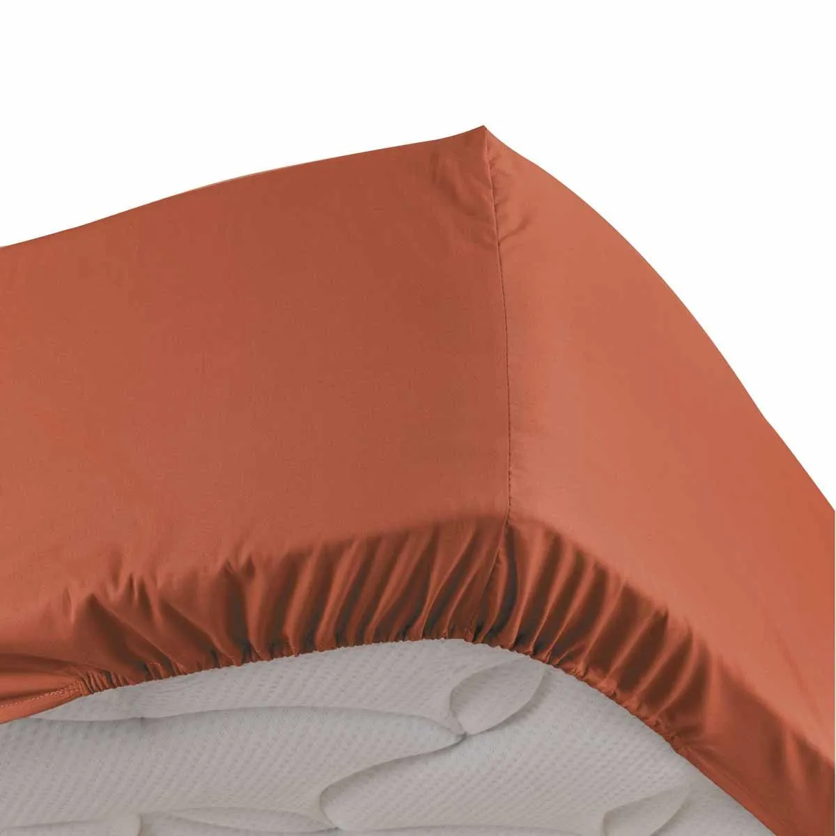 DOUCEUR D INTERIEUR Drap Housse Percaline 140x190cm Terracotta
