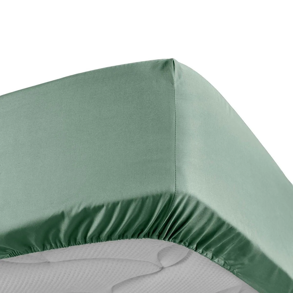 Drap Housse Percaline 90x190cm Tilleul