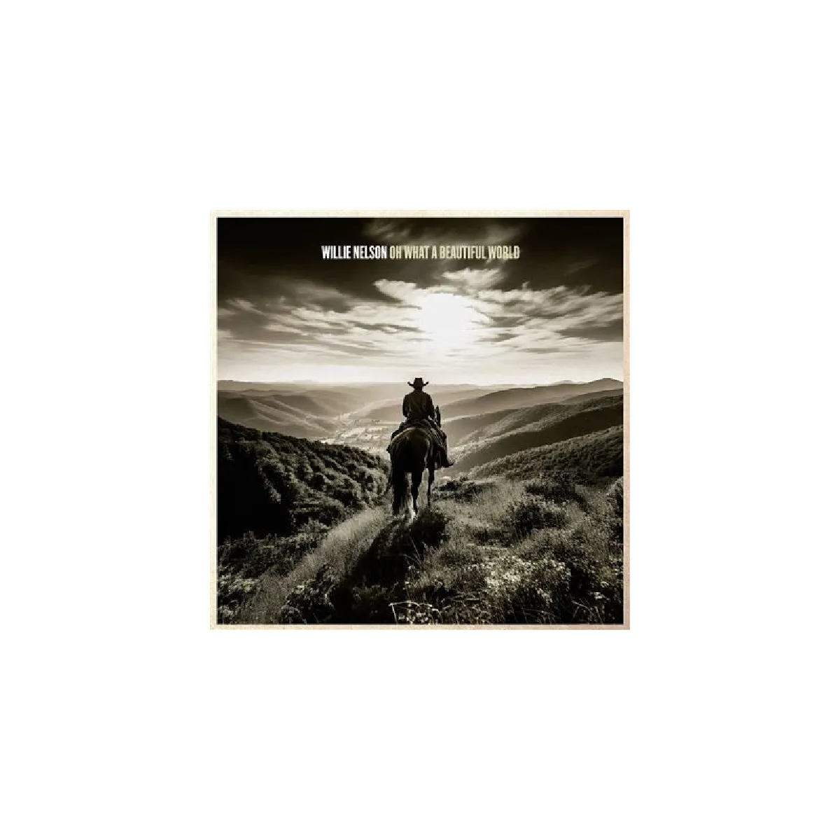 Legacy - Willie Nelson Oh What A Beautiful World - Image 2