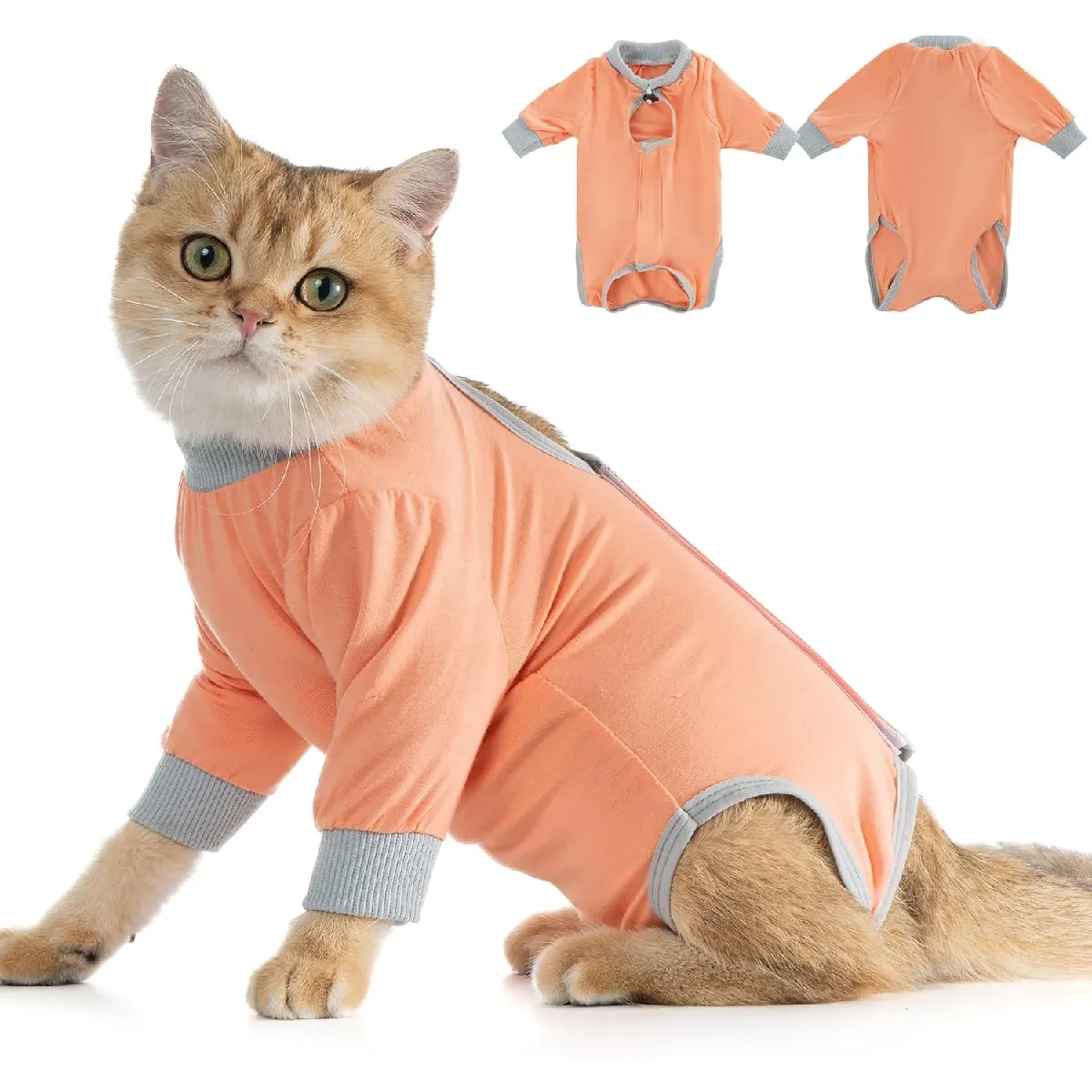 Comparer les prix de Combinaison de Récupération pour Chat Anti Léchage Corail S