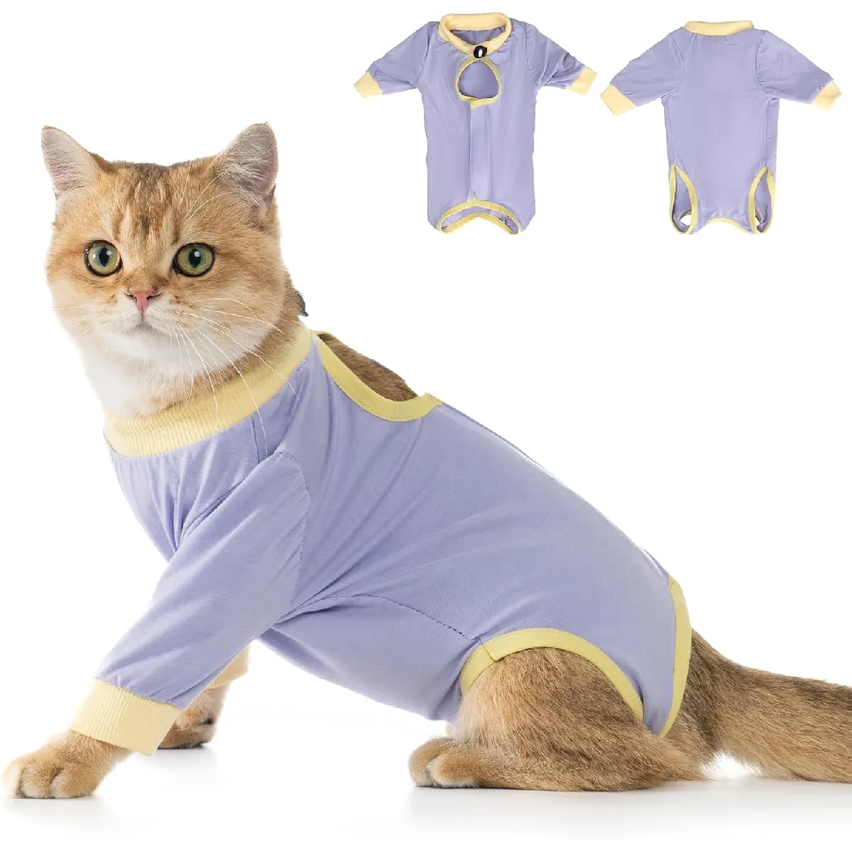 Meilleurs prix pour Combinaison de Récupération pour Chat Anti Léchage Lavande S