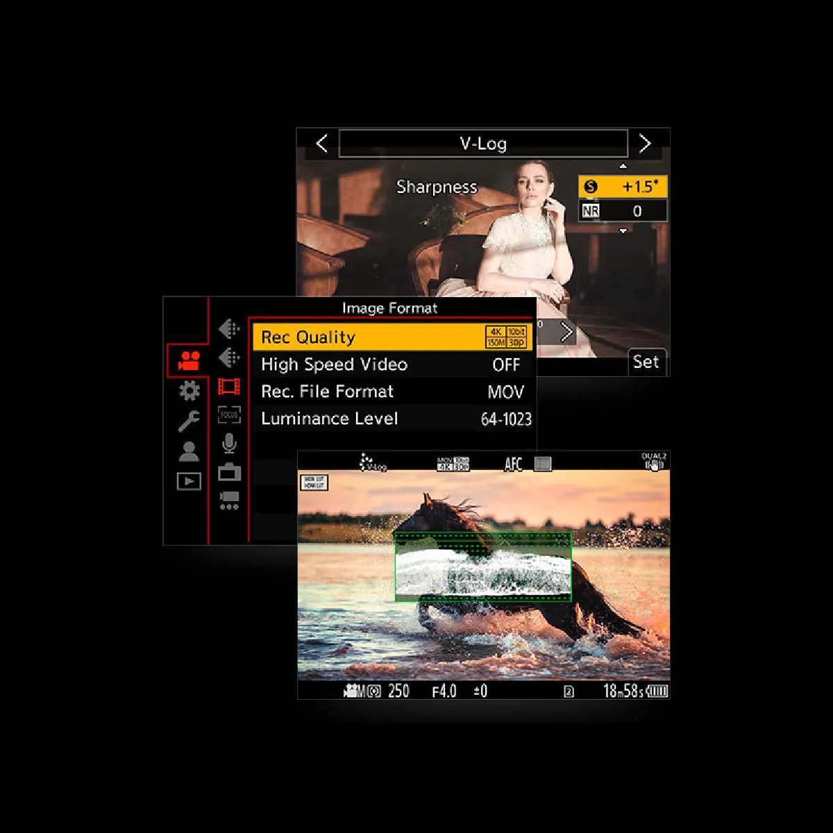 V Log Panasonic DMW SFU2GU pour Lumix S1 - vue 4