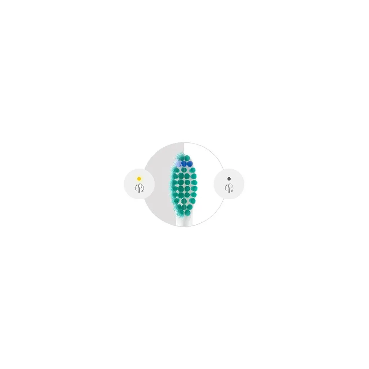 Sonicare HX601287 ProResults Lot de 2 - vue 3