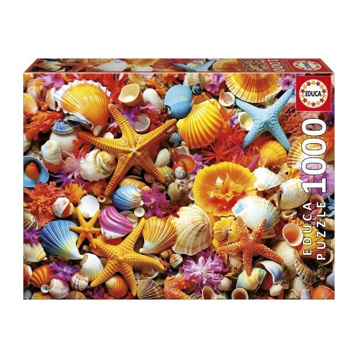 Educa borras Puzzle collage de coquillages - 1000 pièces