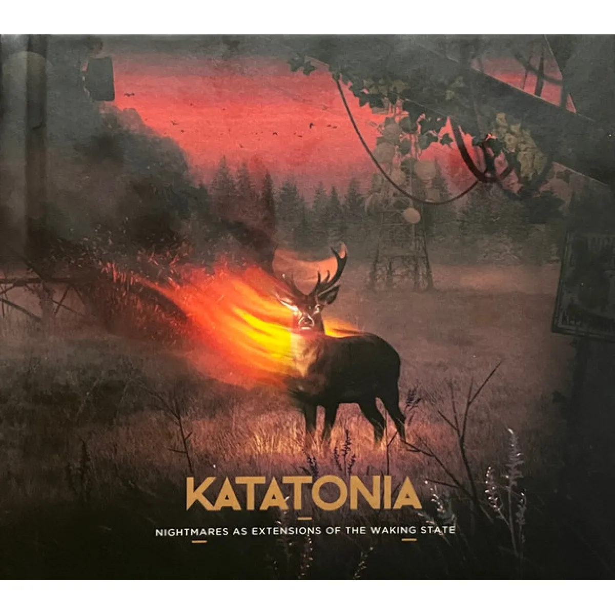katatonia nightmares as extensions of the waking state